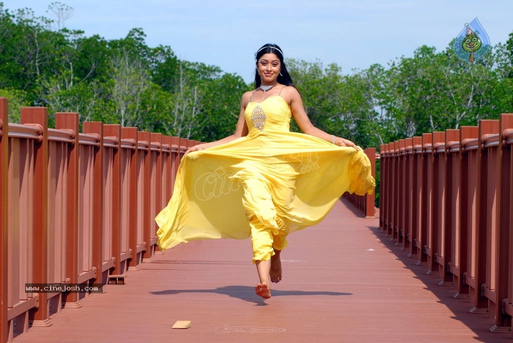 Payal Ghosh Spicy Photo Gallery - 92 / 103 photos