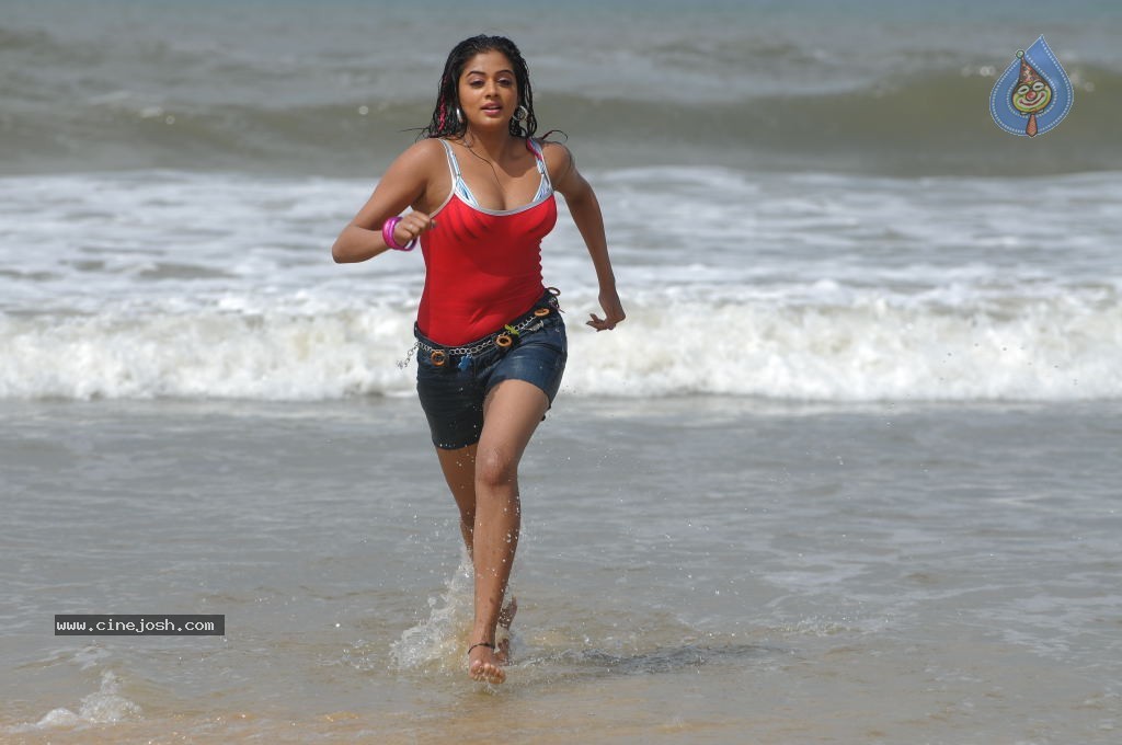 Priyamani Spicy Stills in Raaj Movie - 16 / 34 photos