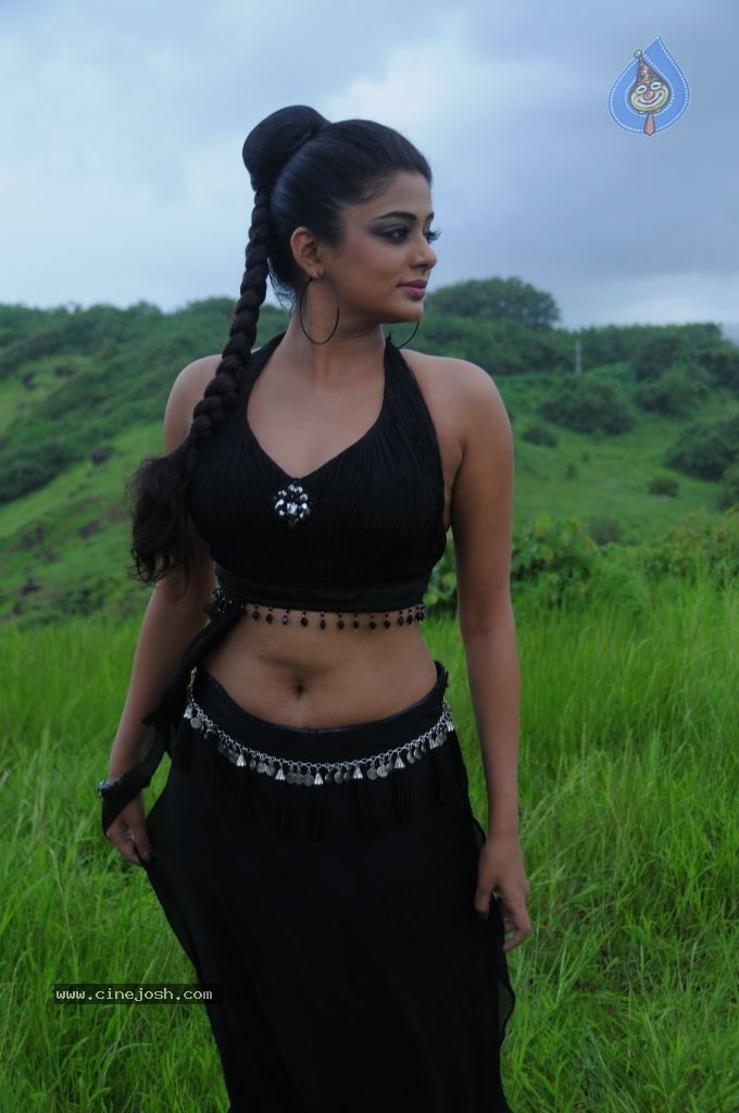 Priyamani Spicy Stills in Raaj Movie - 19 / 34 photos