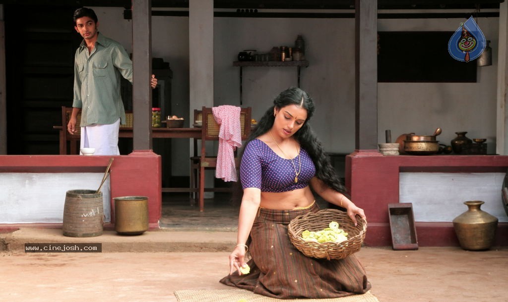Rathinirvedam Movie Spicy Stills - 14 / 37 photos