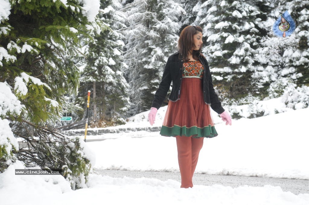 Richa Gangopadhyay Spicy Gallery - 47 / 51 photos
