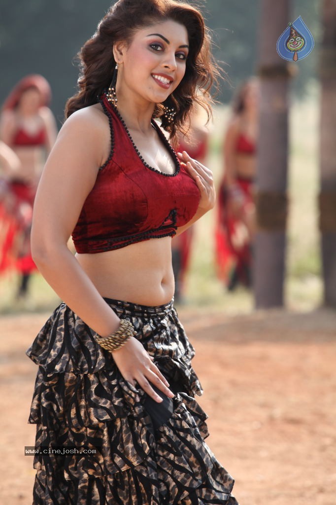 Richa Gangopadhyay Spicy Photos - 41 / 76 photos