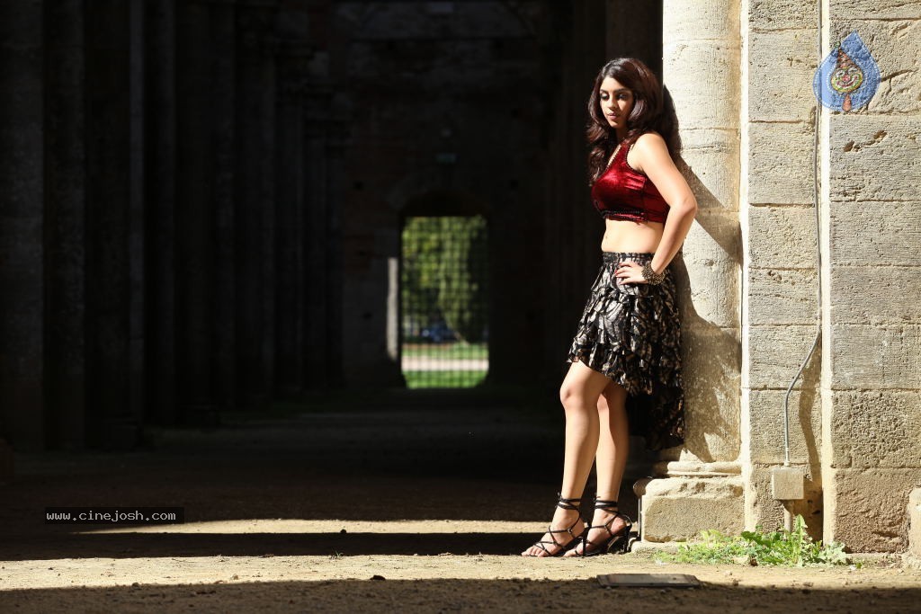 Richa Gangopadhyay Spicy Photos - 67 / 76 photos