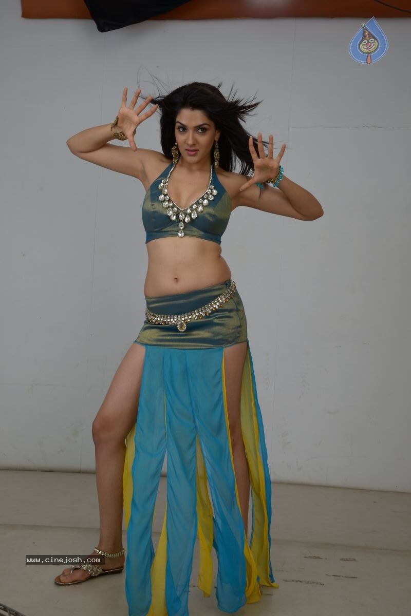 Sakshi Choudary Hot Photo Shoot - 23 / 99 photos
