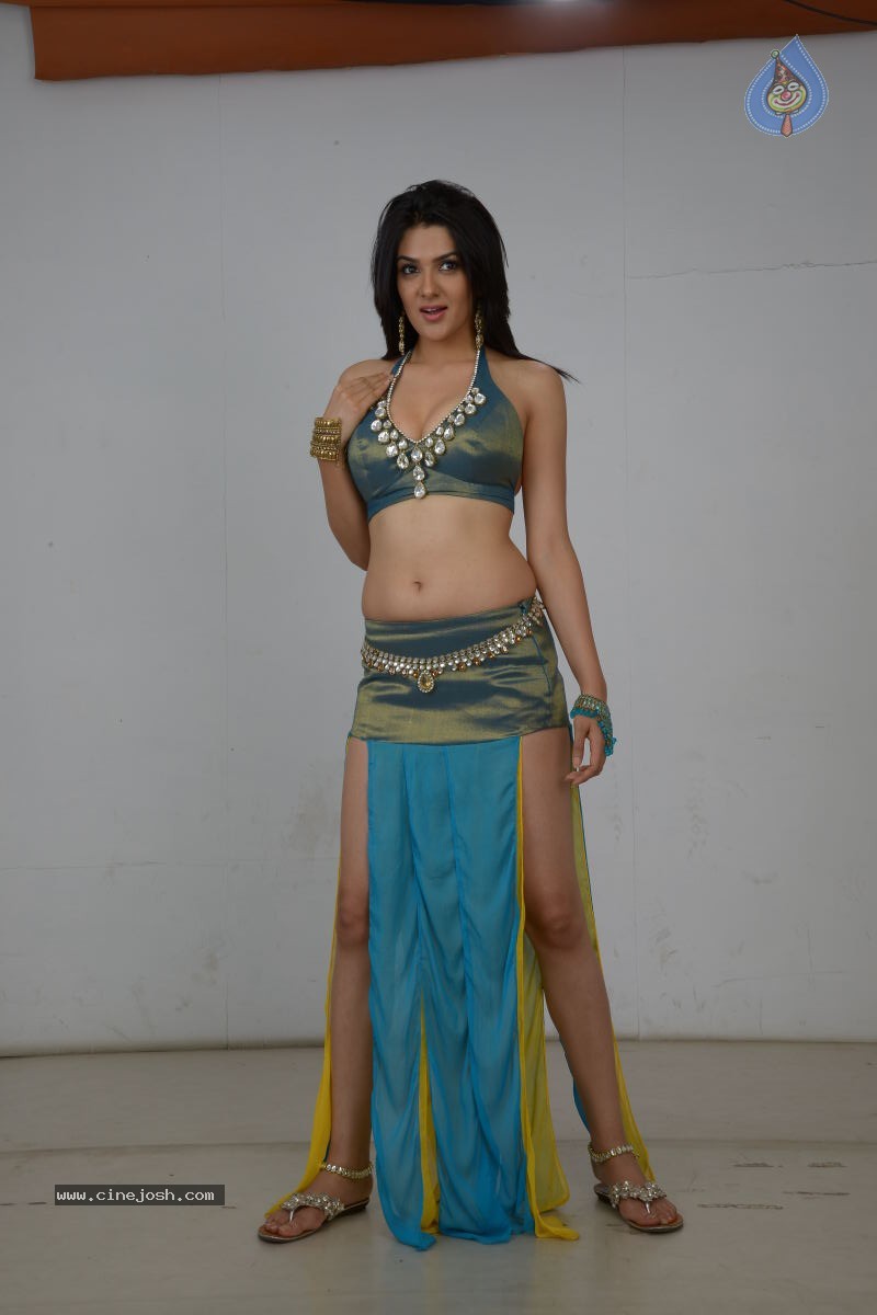 Sakshi Choudary Hot Photo Shoot - 24 / 99 photos
