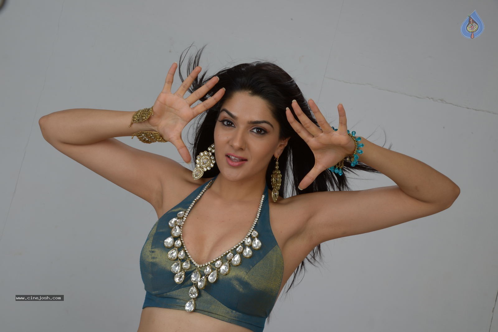 Sakshi Choudary Hot Photo Shoot - 27 / 99 photos