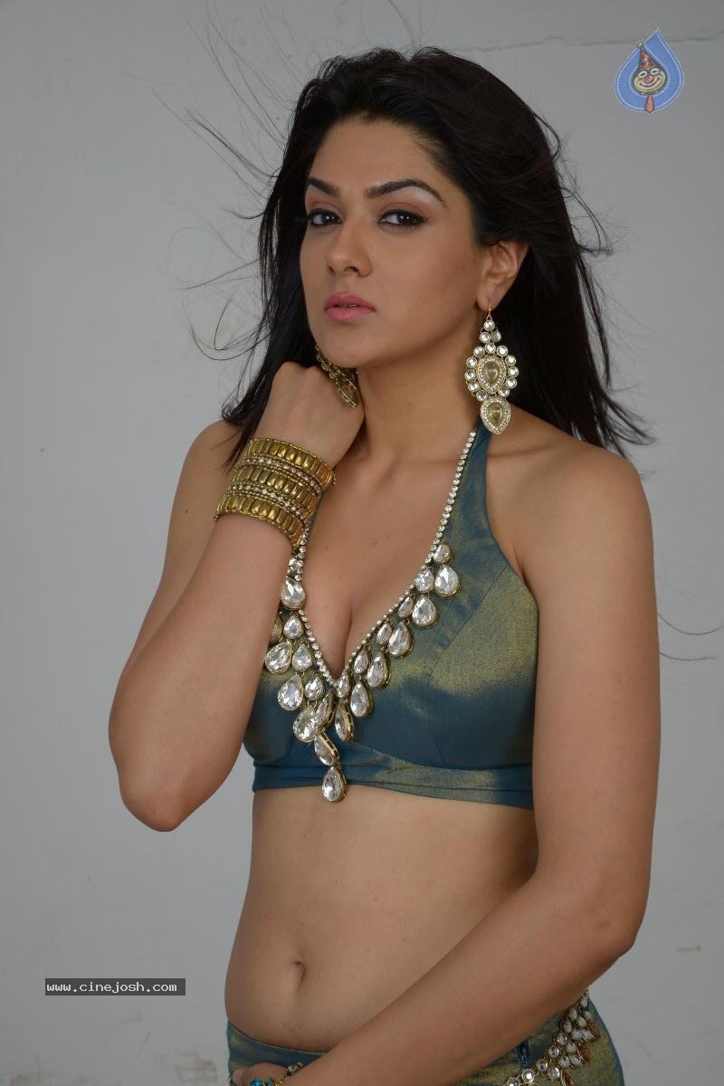 Sakshi Choudary Hot Photo Shoot - 38 / 99 photos