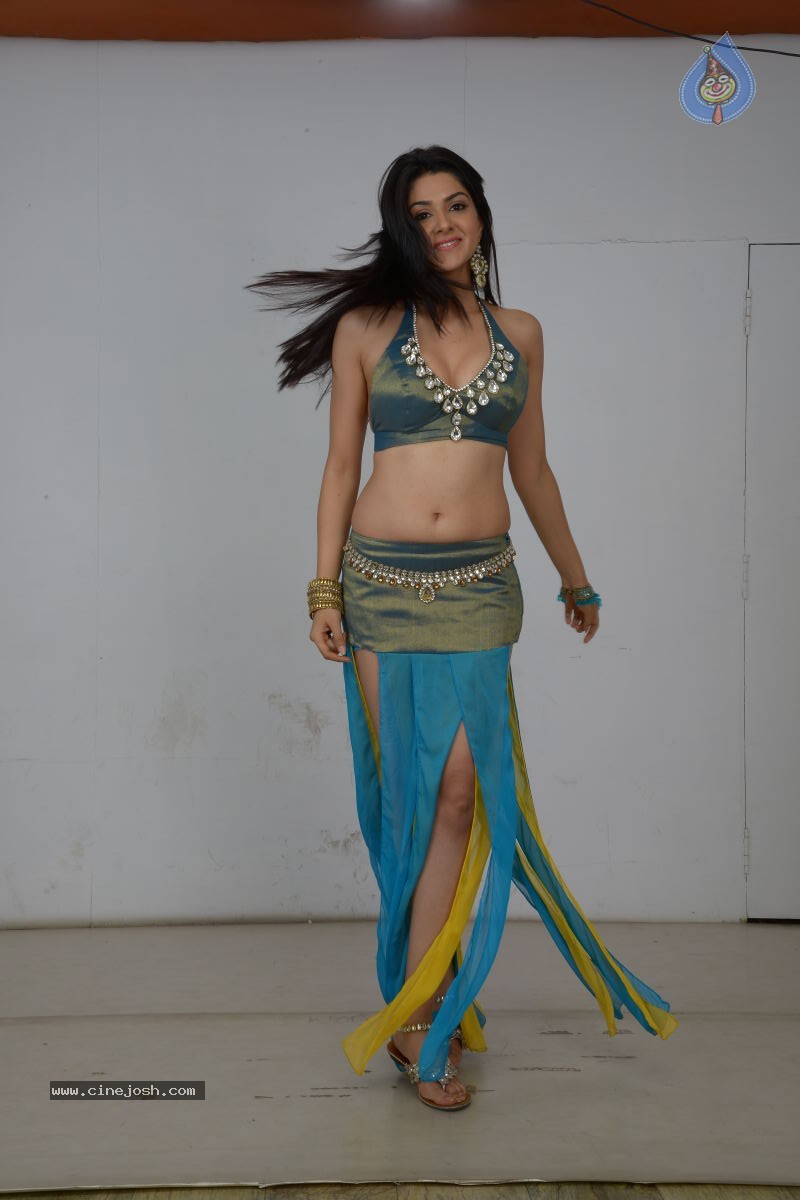 Sakshi Choudary Hot Photo Shoot - 62 / 99 photos