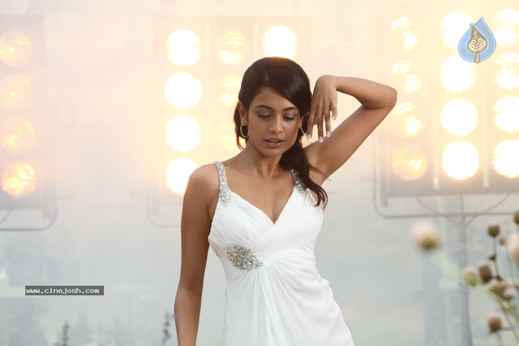 Sarah Jane Dias Hot Stills - 41 / 86 photos