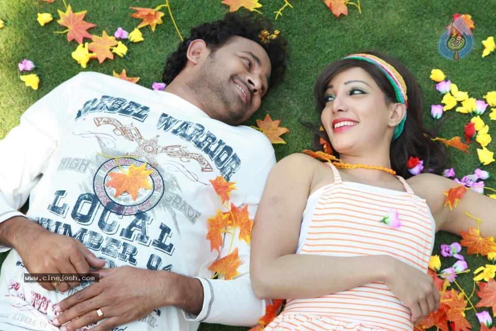 Sarena Movie New Hot Stills - 33 / 100 photos