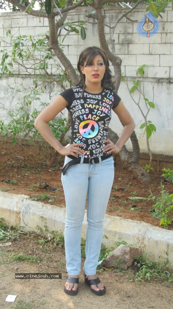 Sarena Movie New Hot Stills - 67 / 100 photos