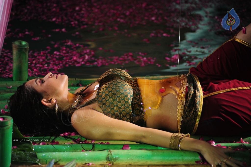 Sheena Shahabadi Hot Photos - 17 / 137 photos