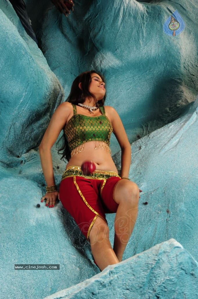 Sheena Shahabadi Hot Photos - 25 / 137 photos