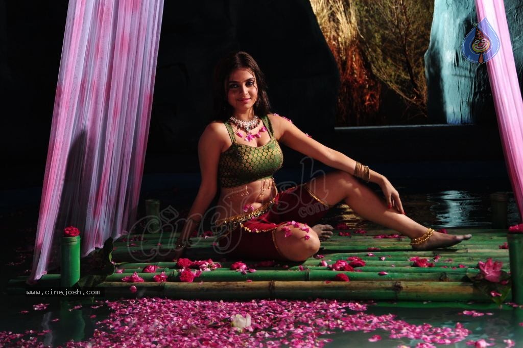 Sheena Shahabadi Hot Photos - 42 / 137 photos