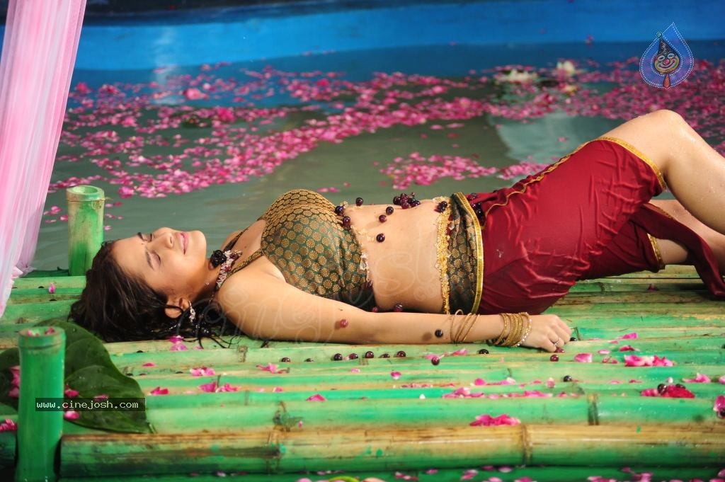 Sheena Shahabadi Hot Photos - 69 / 137 photos