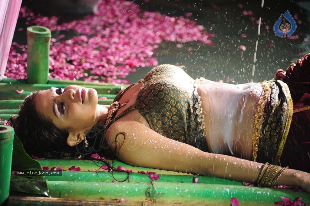 Sheena Shahabadi Hot Photos - 71 / 137 photos