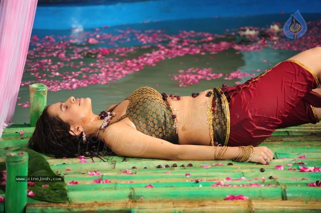 Sheena Shahabadi Hot Photos - 78 / 137 photos