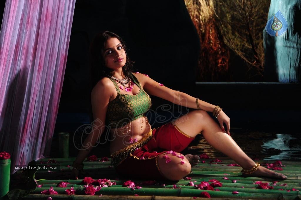 Sheena Shahabadi Hot Photos - 114 / 137 photos