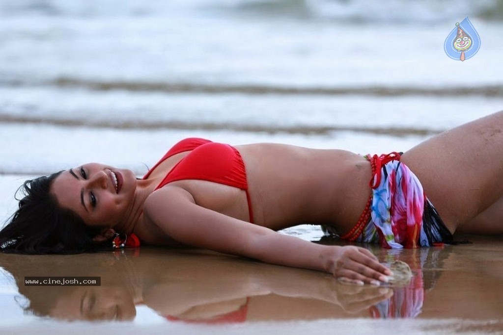 Shilpi Sharma Hot Bikini Pics - 8 / 9 photos