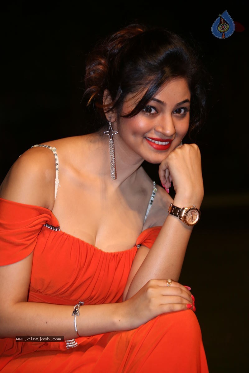 Shilpi Sharma Hot Photos - 49 / 102 photos