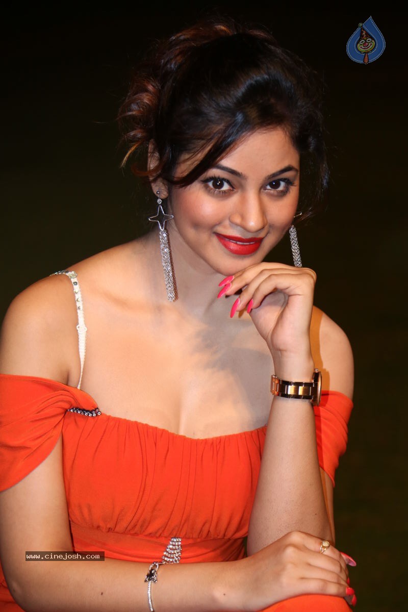 Shilpi Sharma Hot Photos - 67 / 102 photos