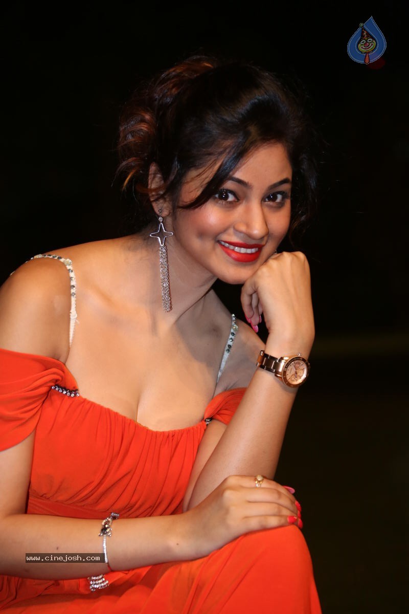 Shilpi Sharma Hot Photos - 74 / 102 photos