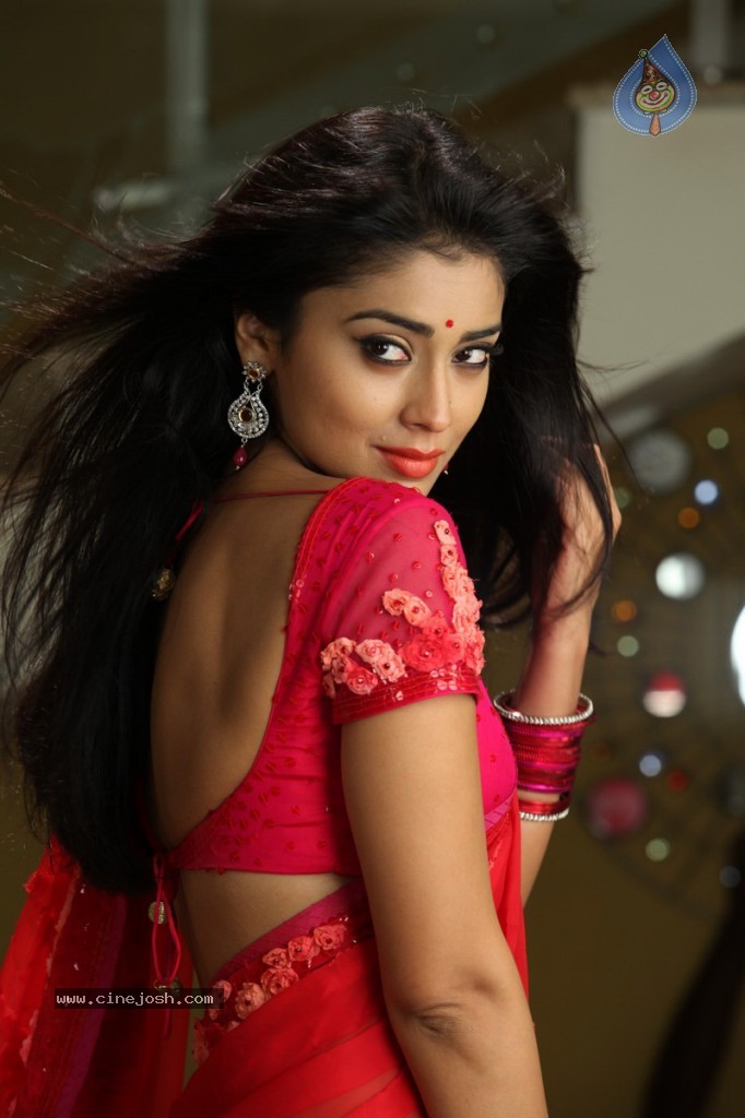 Shriya Hot Photos - 24 / 64 photos
