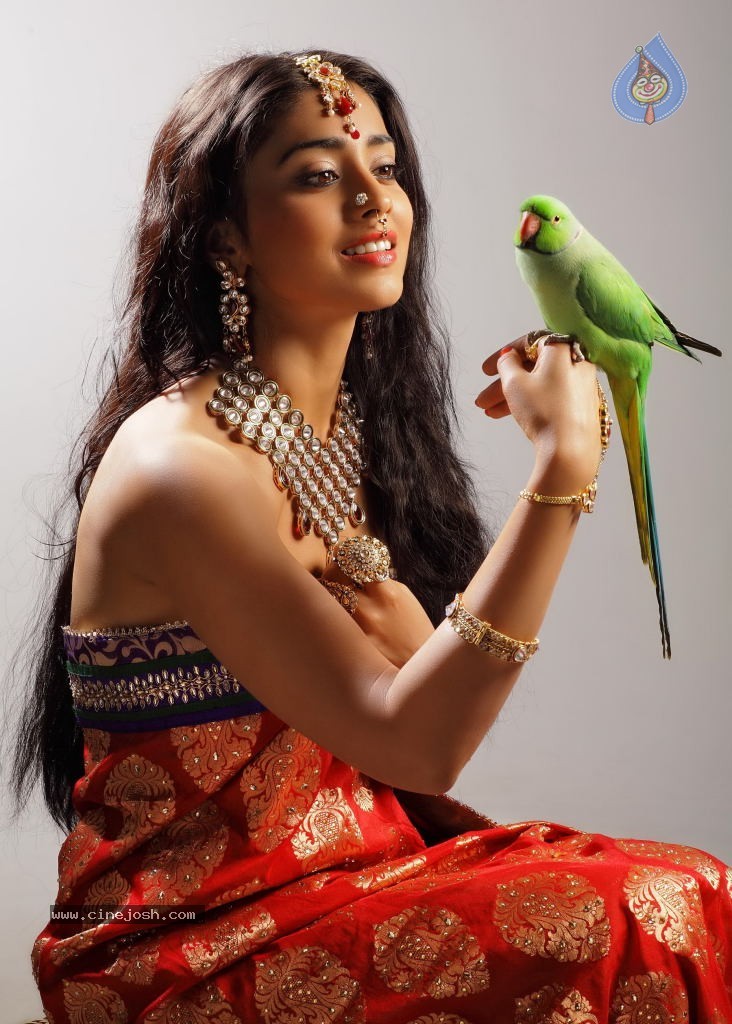 732px x 1024px - Shriya Saran New Hot Photos - Photo 3 of 7