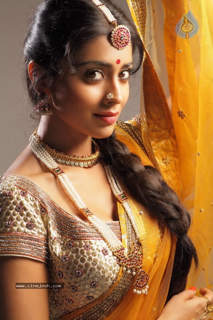 Shriya Saran New Hot Photos - 6 / 7 photos
