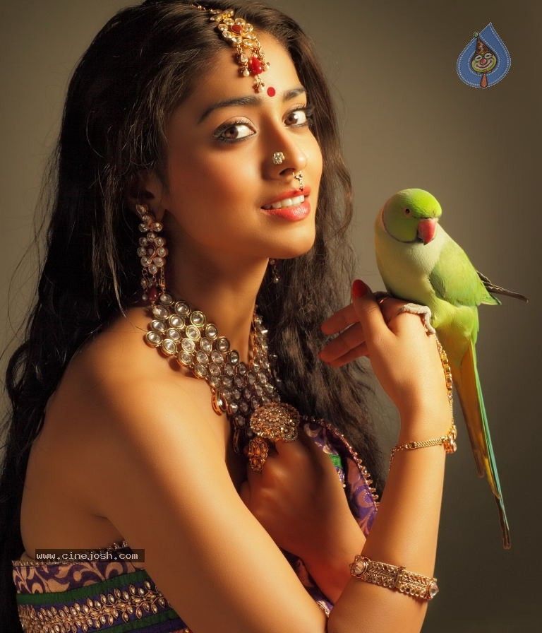 Shriya Saran New Hot Photos - 7 / 7 photos