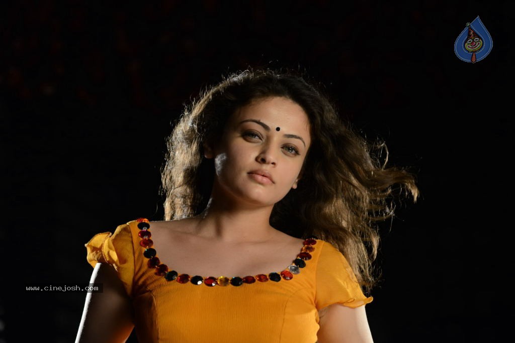 Sneha Ullal Hot Photos - 9 / 50 photos
