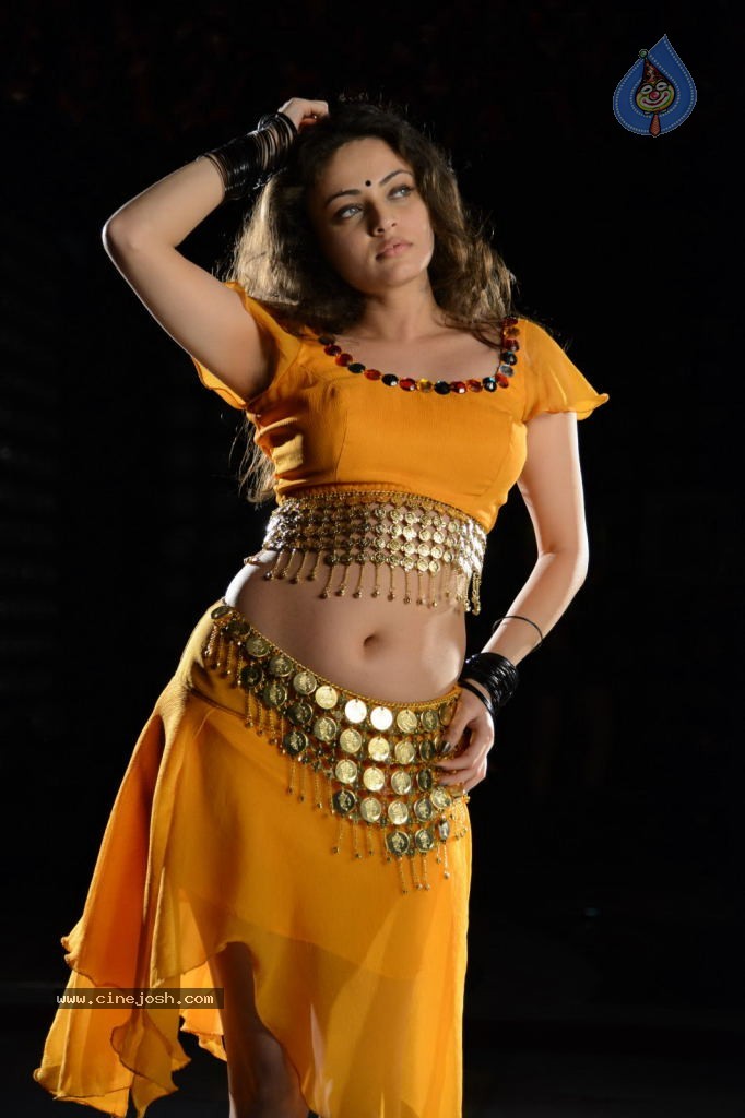 Sneha Ullal Hot Photos - 15 / 50 photos