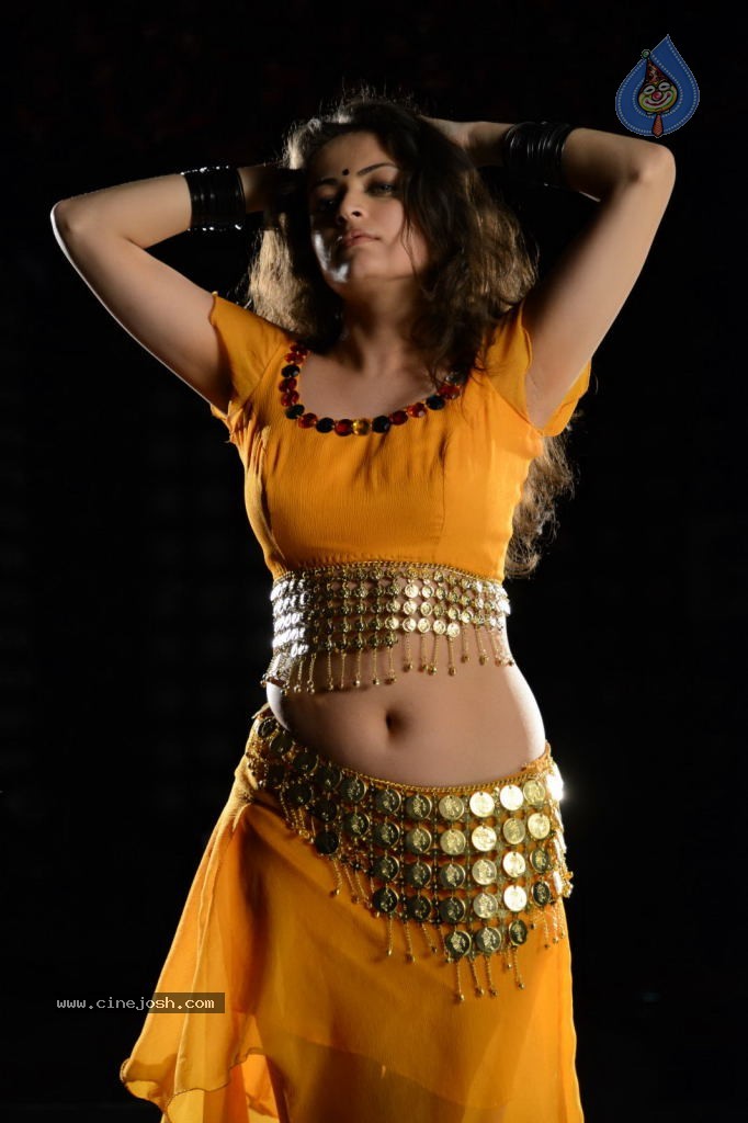 Sneha Ullal Hot Photos - 16 / 50 photos