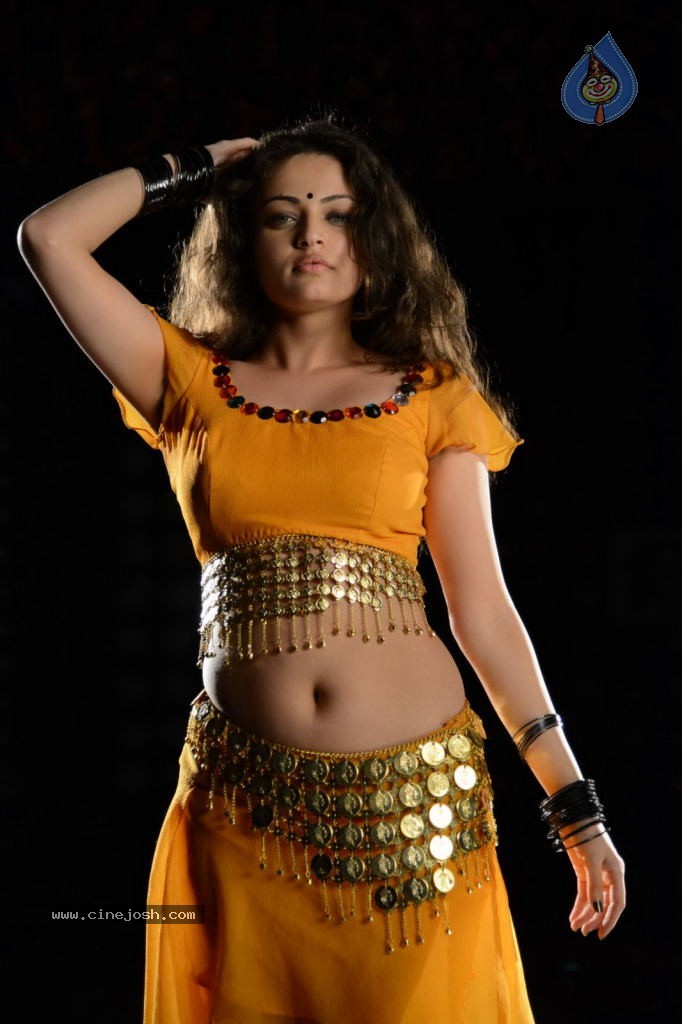 Sneha Ullal Hot Photos - 37 / 50 photos