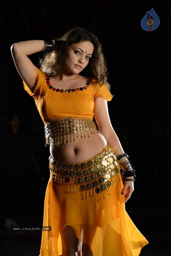 Sneha Ullal Hot Photos - 42 / 50 photos