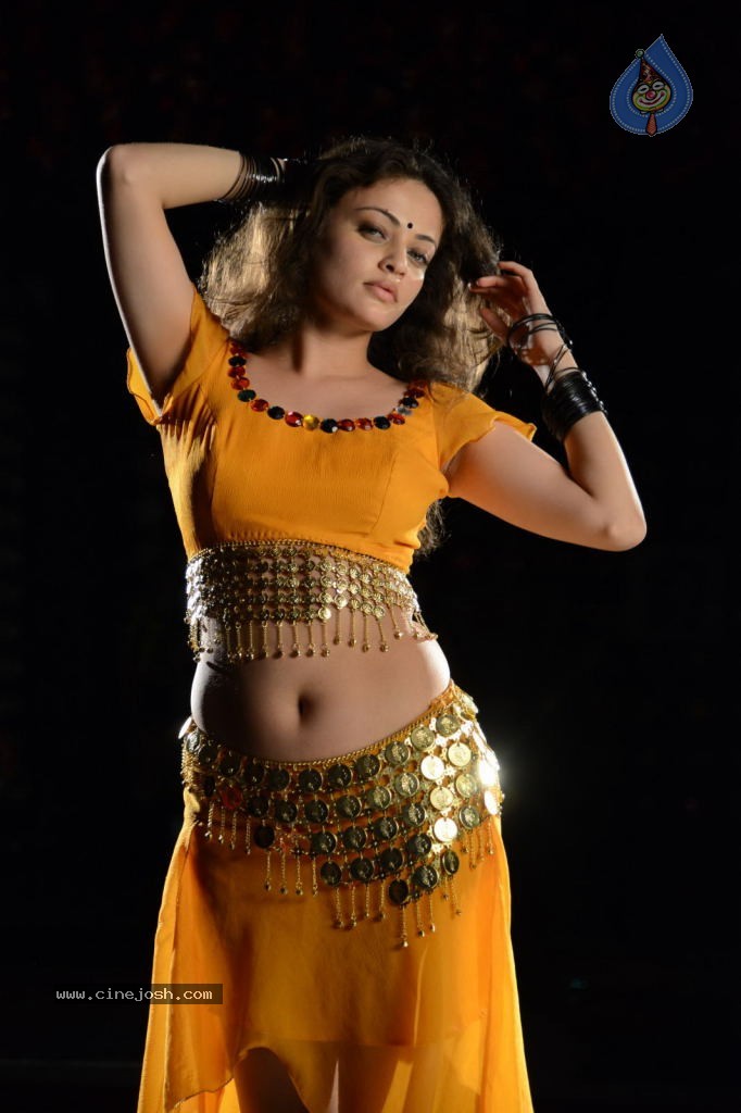 Sneha Ullal Hot Photos - 45 / 50 photos