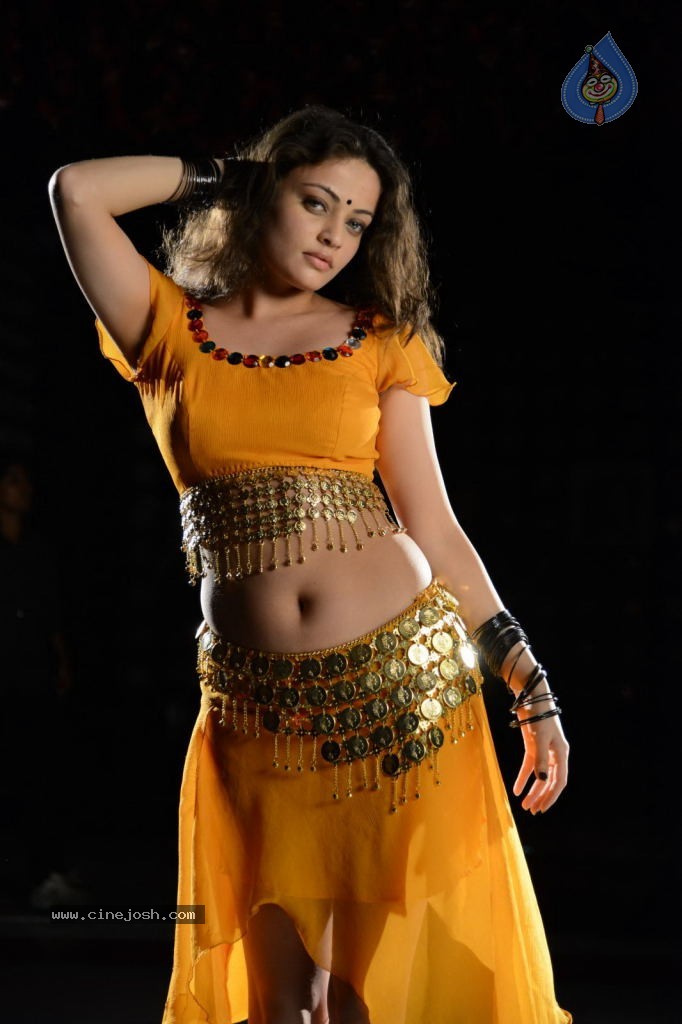 Sneha Ullal Hot Photos - 46 / 50 photos