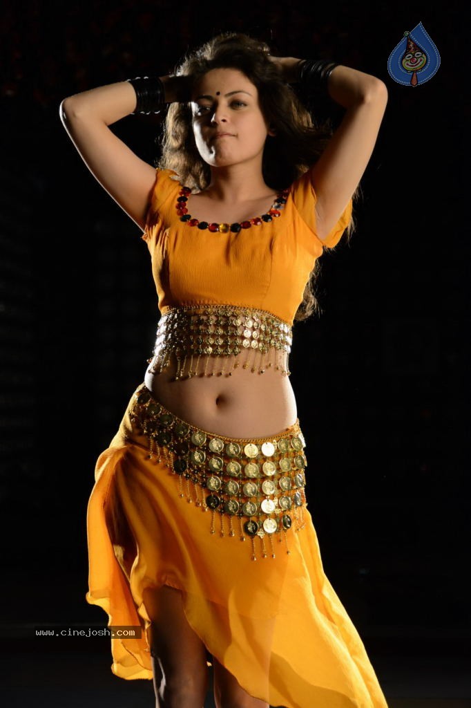 Sneha Ullal Hot Photos - 49 / 50 photos