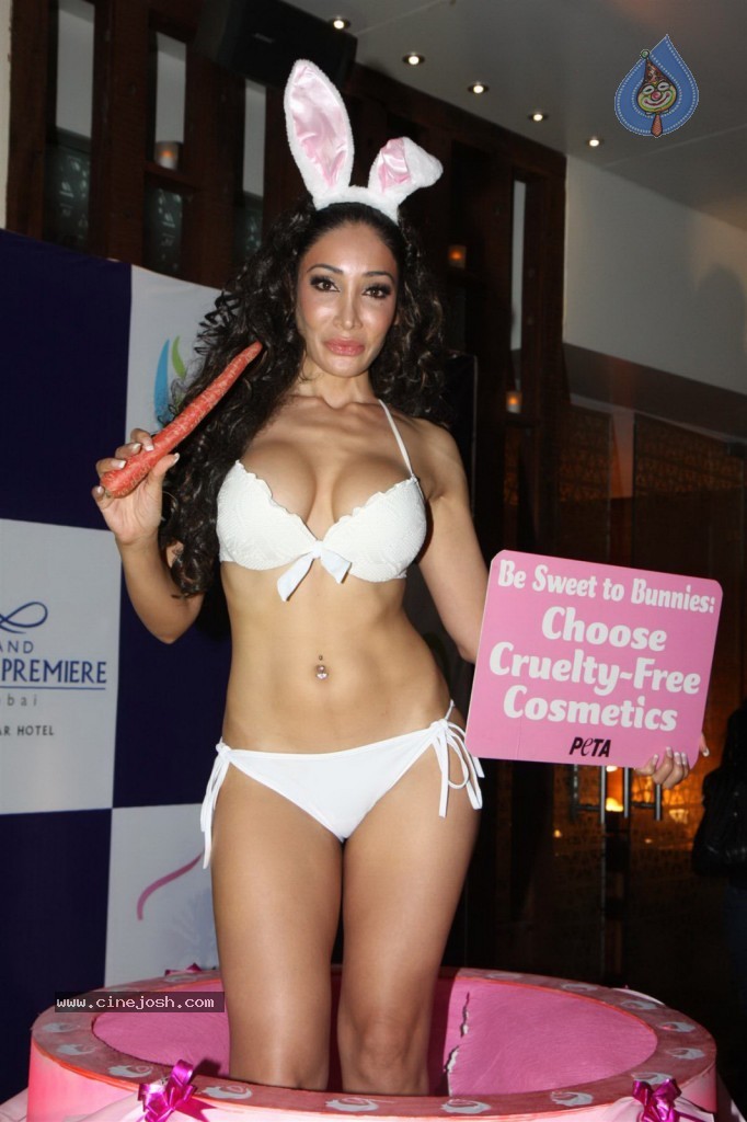 Sofia Hayat Special Photo Shoot - 2 / 59 photos
