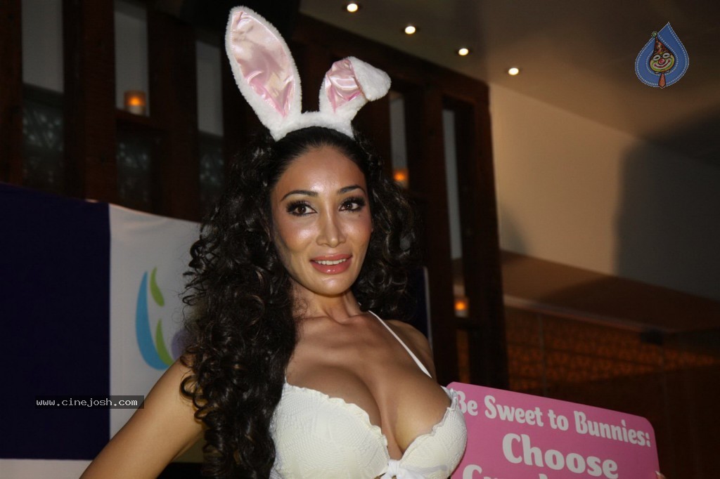 Sofia Hayat Special Photo Shoot - 14 / 59 photos