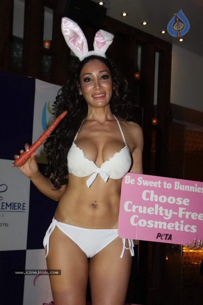 Sofia Hayat Special Photo Shoot - 47 / 59 photos