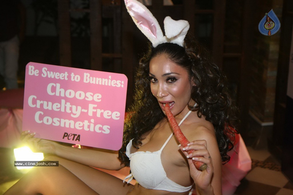 Sofia Hayat Special Photo Shoot - 51 / 59 photos