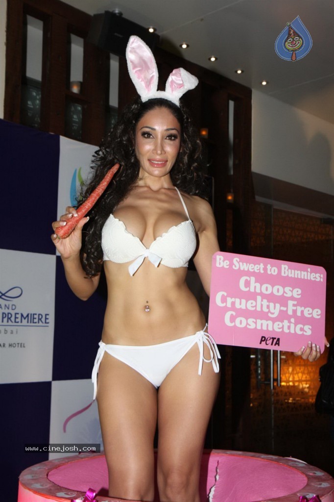 Sofia Hayat Special Photo Shoot - 54 / 59 photos