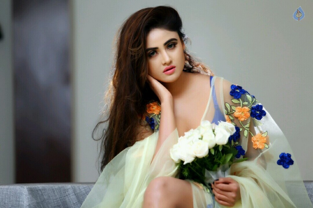 Sony Charishta Latest Photoshoot - 5 / 12 photos