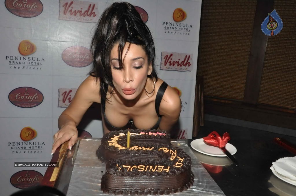 Spicy Sofia Hayat Birthday Bash - 26 / 95 photos