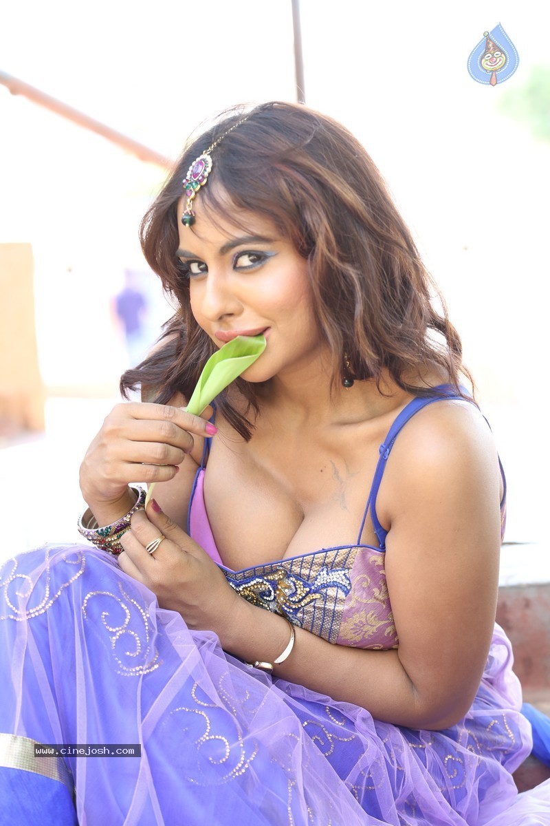 Sri Reddy Spicy Stills (150 photos) page 2 | Photos Gallery