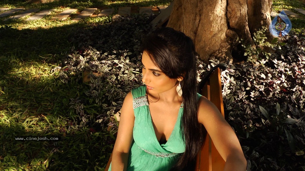 Srikar Movie Makers Movie Hot Stills - 22 / 38 photos