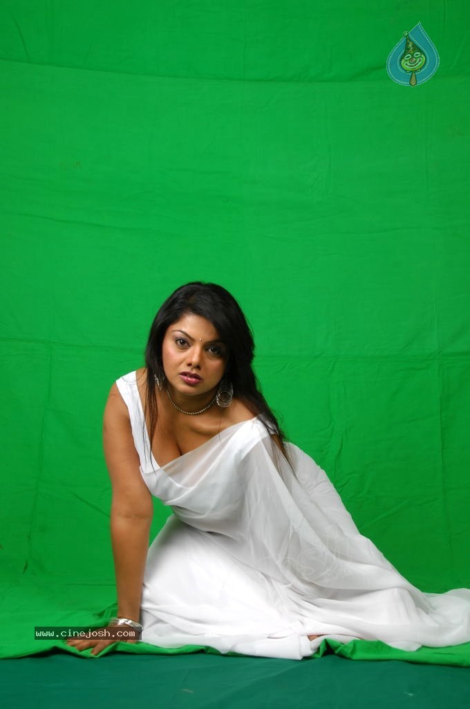 Swathika Spicy Photo Gallery - 64 / 71 photos