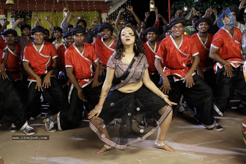 Swetha Basu Prasad New Spicy Stills - 21 / 151 photos