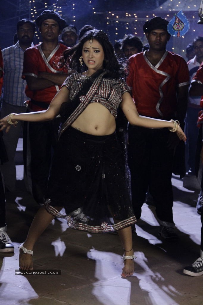 Swetha Basu Prasad New Spicy Stills - 38 / 151 photos